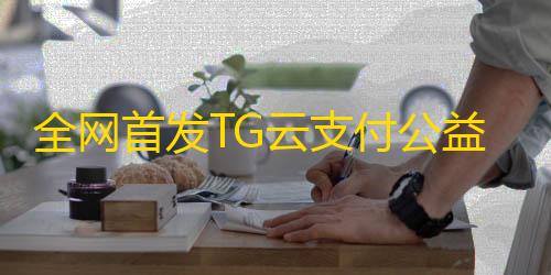 暗区突围物资透视辅助全网首发TG云支付公益版php源码